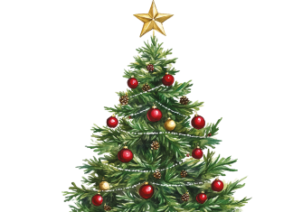 Så firar vi jul ombord